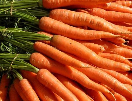 Cà rốt